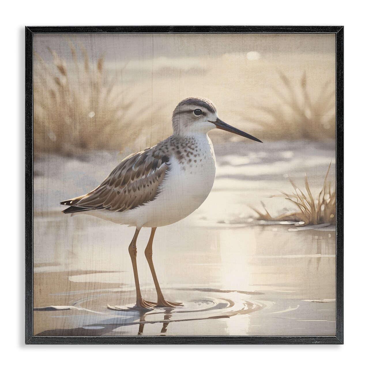 Stupell Industries Sunlit Sandpiper in Shallow Water Black Framed Giclee Art, design by Susan Arnot